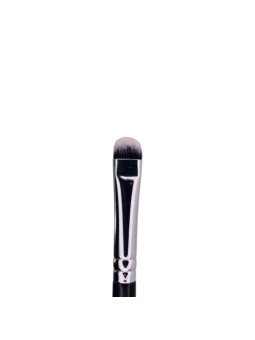 PINCEL LENGUA DE GATO 01