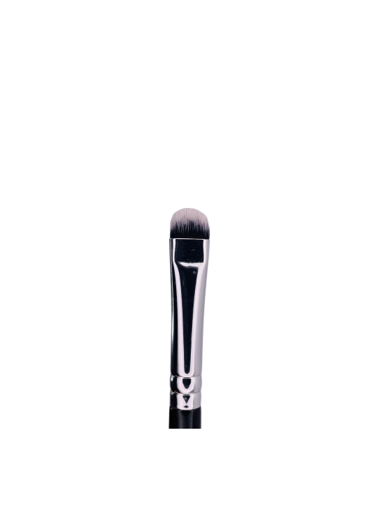 PINCEL LENGUA DE GATO 01