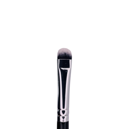 PINCEL LENGUA DE GATO 01